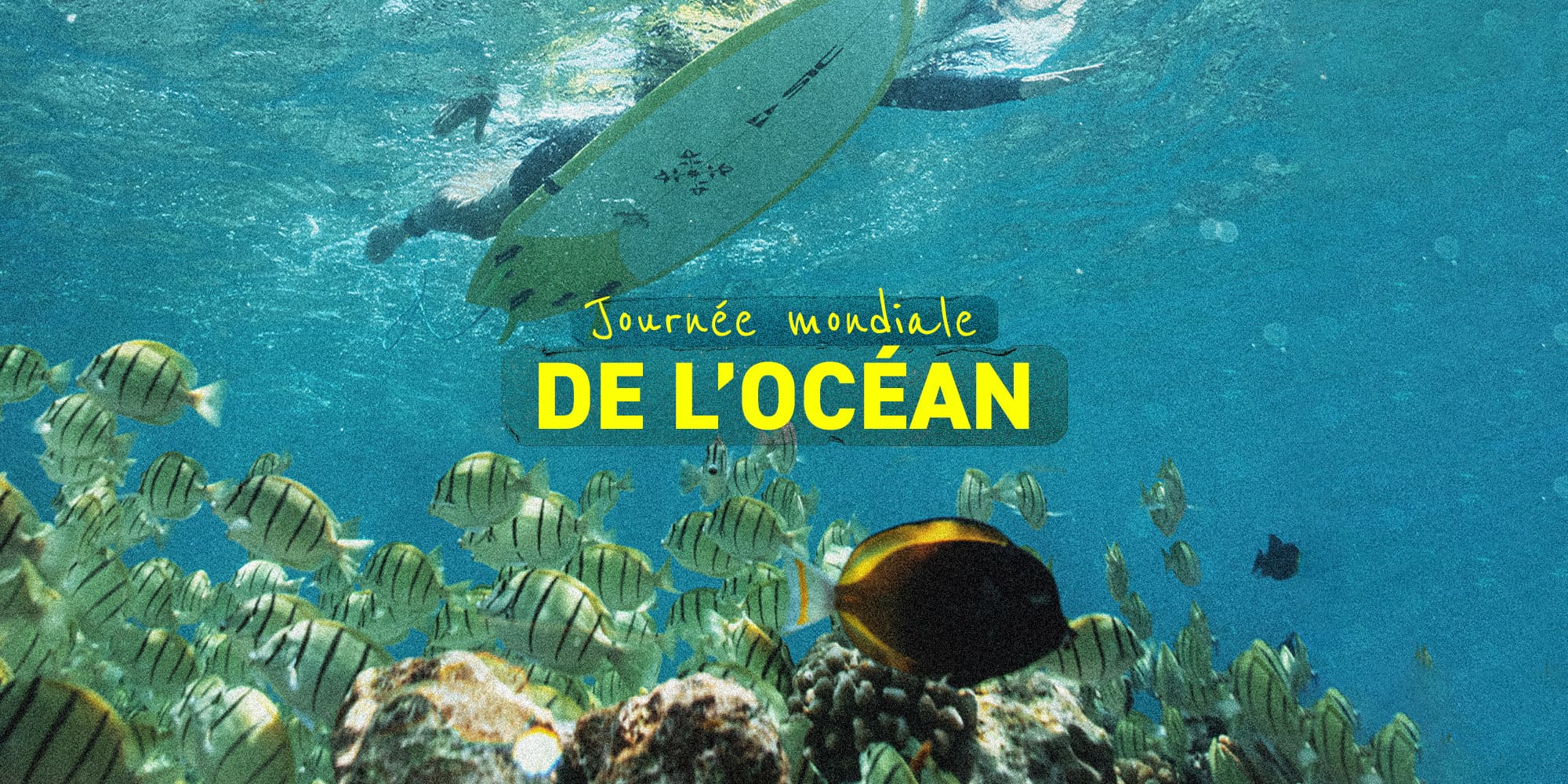 JOURNEE MONDIALE DE L'OCEAN 