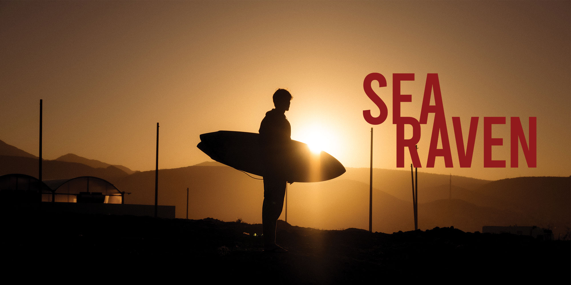 SEA RAVEN - Boris Romann