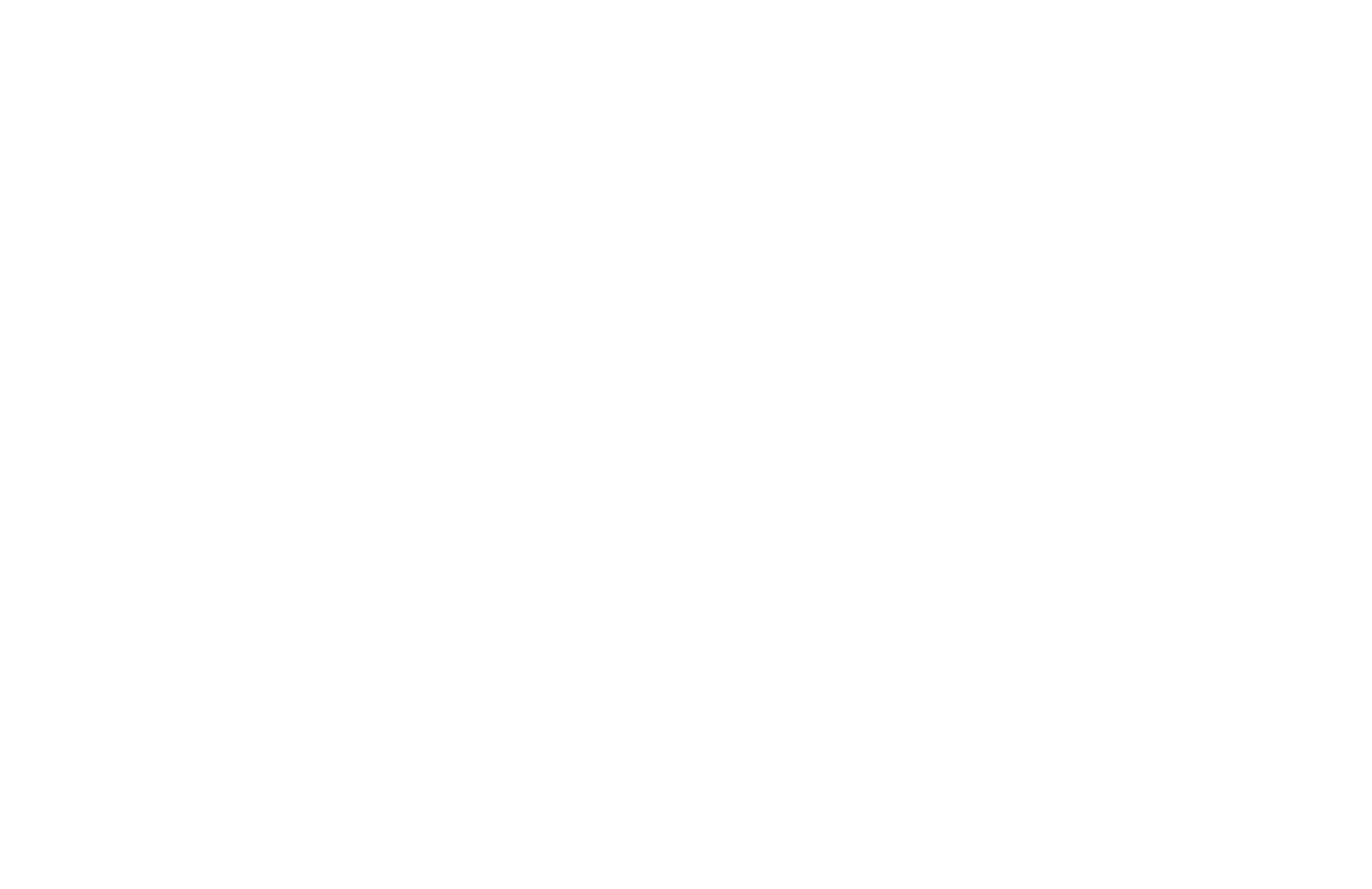 LOGO_STAY-ALIVE_COMPLEXE_BLANC