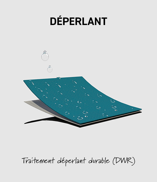 3D_D_perlant_11
