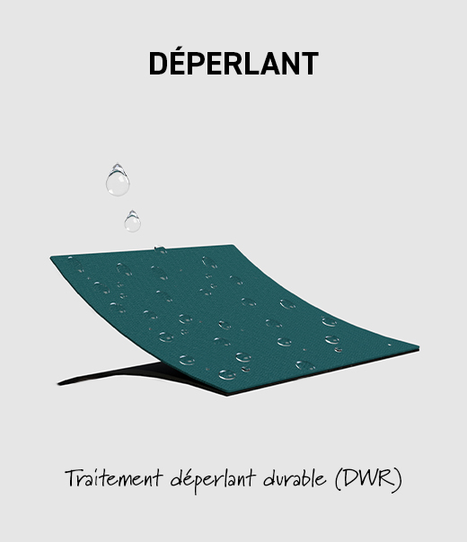 3D_D_perlant_7