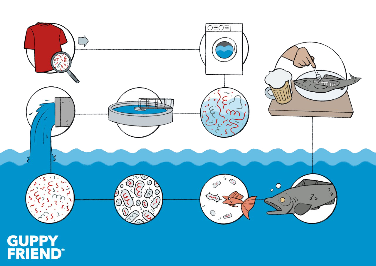 Guppyfriend_The_harmful_path_of_microplastics