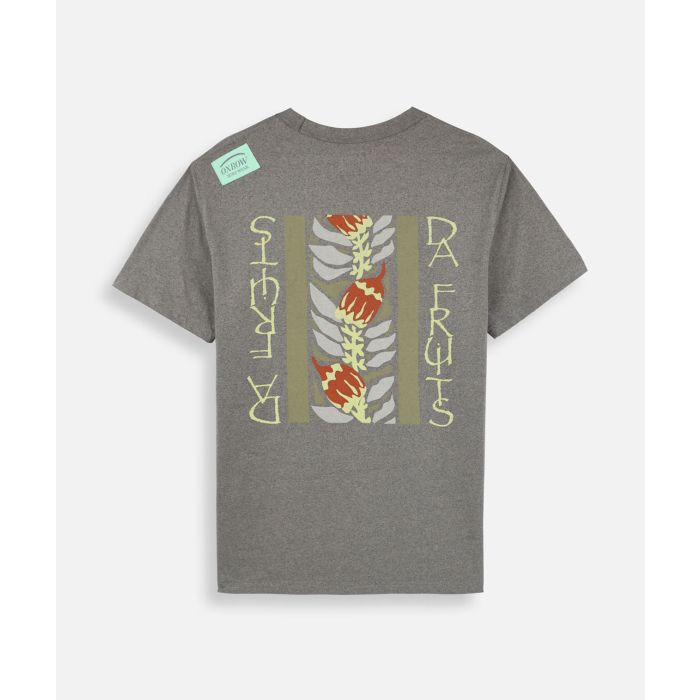 COLLECTOR Tee-shirt RAOUL - Kaki