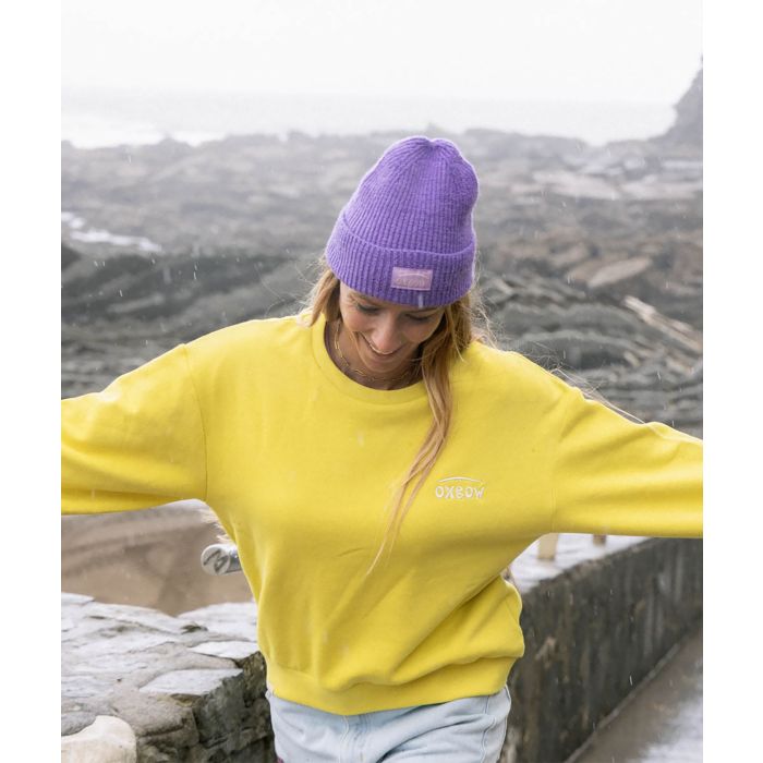 Sweat SARDI - Sponge
