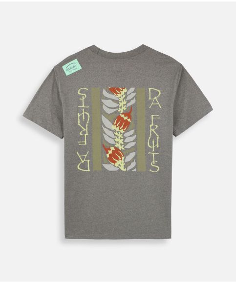 COLLECTOR Tee-shirt RAOUL - Kaki