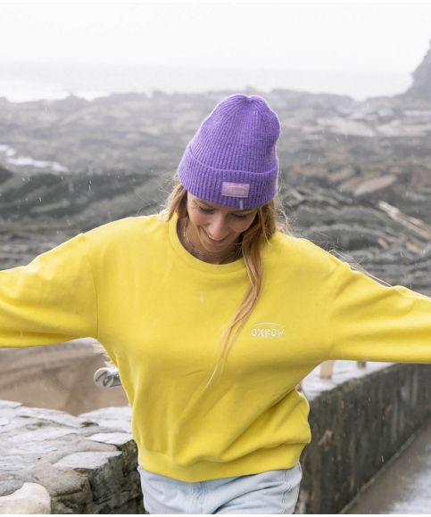 Sweat SARDI - Sponge