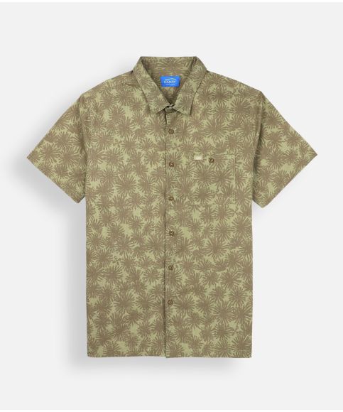 Shirt CORAIL - Army