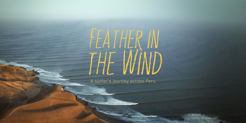 FEATHER IN THE WIND - Info & teaser