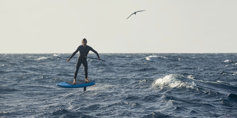 TEASER DE L'ALBATROS : LE FILM DOCUMENTAIRE SUR LUDO DULOU