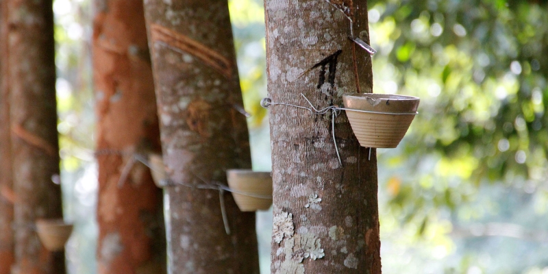 Does natural rubber exist ?